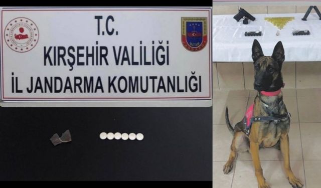 Kırşehir Çiçekdağı İlçesinde Metamfetamin ve Silah Ele Geçirildi