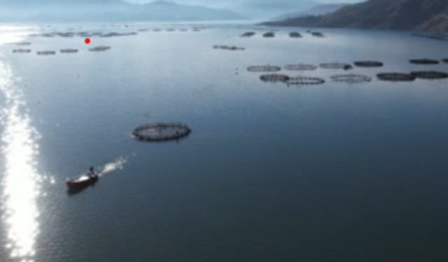 Denizi olmayan Tokat’ın somonları dünya sofralarına ulaşıyor