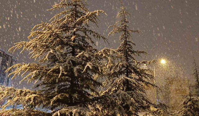 Kırşehir’de gece saatlerinde lapa lapa kar yağışı başladı