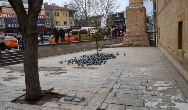 Kırşehir’de tarihi Kapucu Camii güvercinlerin yuvası oldu