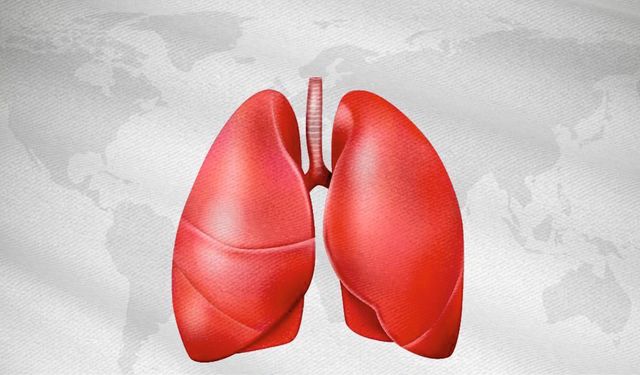 Erken Teşhis Hayat Kurtarıyor