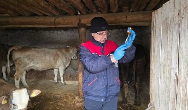 Sağlıklı Hayvan İçin Aşılama Vurgusu