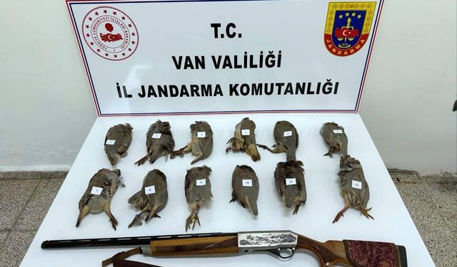Van'da keklik avlayan kişiye 81 bin TL ceza