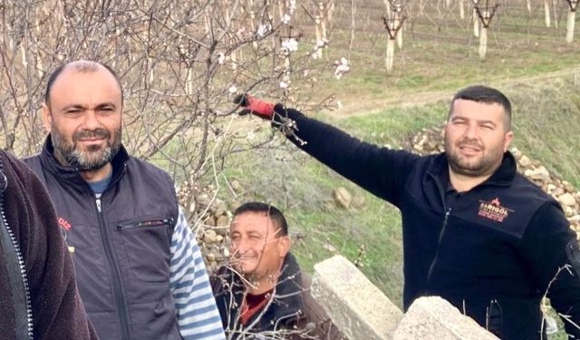Sarıgöl’de badem ağaçları çiçek açtı