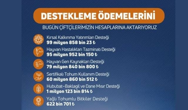 Üreticiye Dev Destek: 338 Milyon TL Aktarılıyor