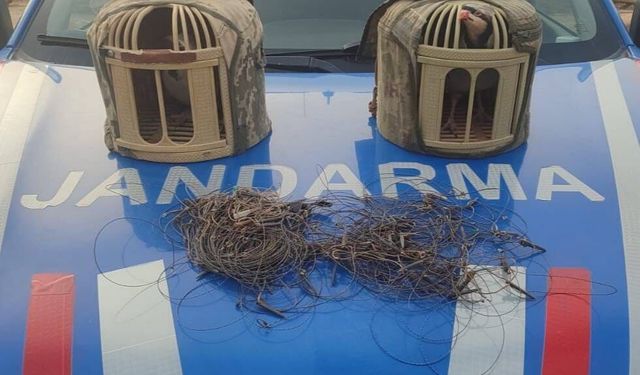 Kırşehir'de kaçak keklik avcıları yakalandı