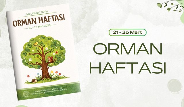 Okul Öncesine Özel Orman Haftası Etkinlikleri