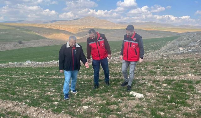 Kırşehir’de Hem Sofralar Hem Tarlalar Denetim Altında