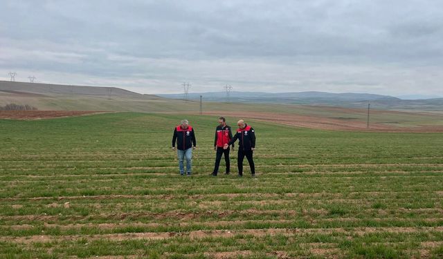Tarladan Bayiye: Kırşehir’de Sıkı Denetim