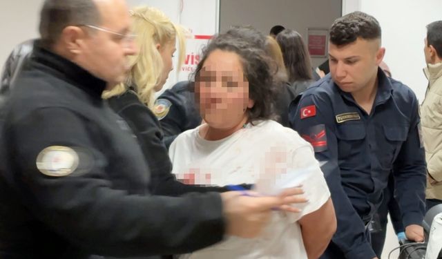 Annesinin sevgilisini bıçakladı, anne ise polis memurunu tokatladı
