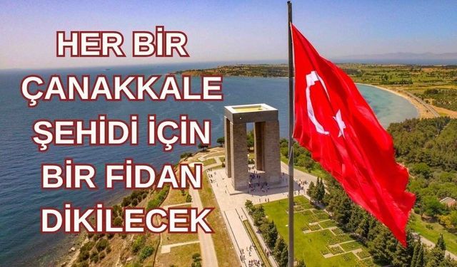 Kırşehir’de 438 Şehit Anısına Fidan Dikilecek