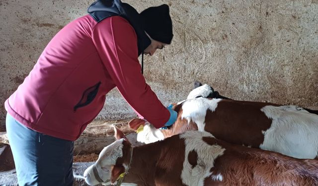 Hayvancılıkta Güvenli Adım