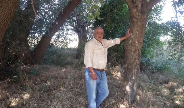 Topal ailesinin acı günü