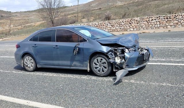 Otomobil koyun sürüsüne daldı: 9 koyun telef oldu