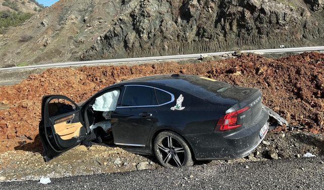 Kontrolden çıkan lüks otomobil yol kenarına savruldu: 1 yaralı