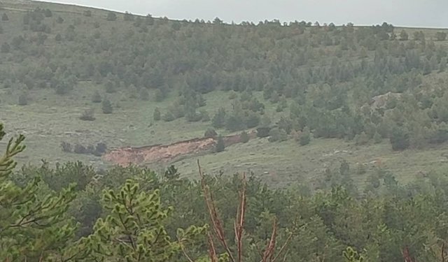 Kervansaray Dağları’nda Taş Ocağı Tepkisi: Ağaç Kesimine Başlandığı İddia Edildi