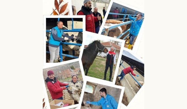 İl Müdürü Taş’tan Veteriner Hekimlere Kutlama