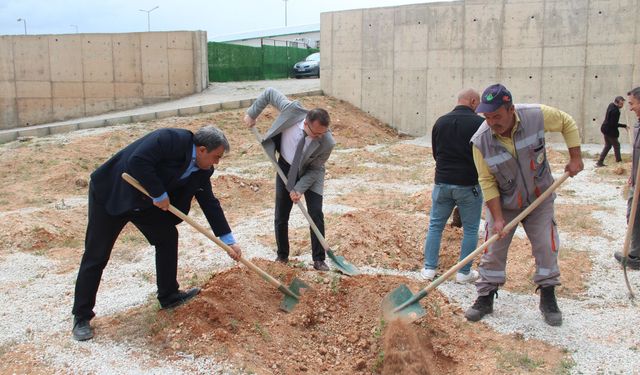 Kırşehir’de 250 Fidan Toprakla Buluştu