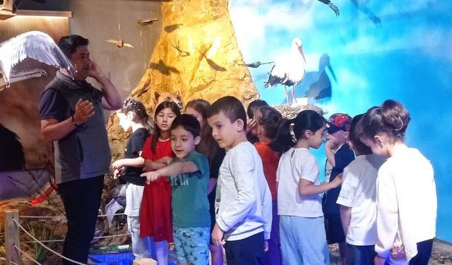 80. Yıl Anaokulu Öğrencileri Tabiat Müzesi’nde