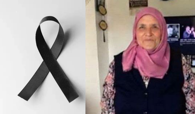 Kargın Yenice Köyü, Arap Karahan'ı Kaybetti
