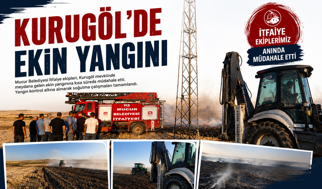 Kurugöl'de Ekin Yangını Korkuttu