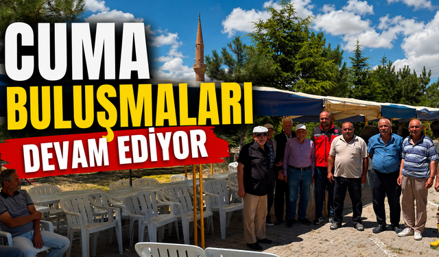 Kırşehir'de Üreticiye Destek Sürüyor