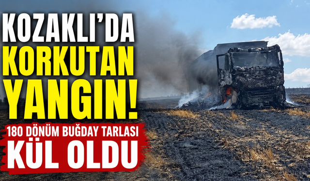 180 Dönüm Buğday Alevlere Teslim