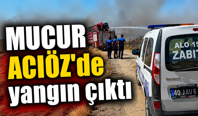 Acıöz Yolunda Çıkan Yangın Kontrol Altına Alındı
