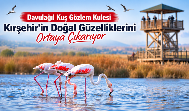 Davulağıl’da Renkli Görüntüler