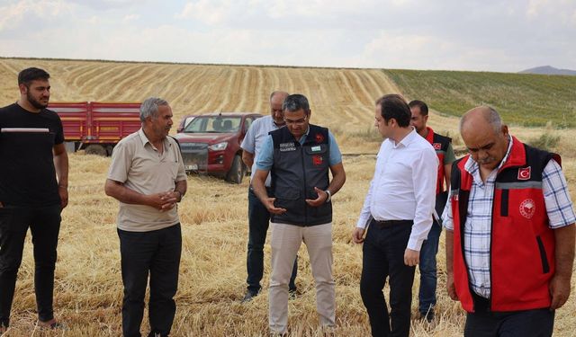 Kaman Kaymakamı Engin Tok Hasat Sevincine Ortak Oldu