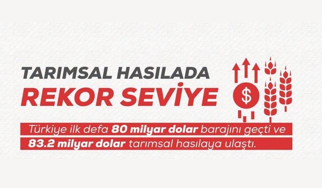 Türkiye Tarımsal Hasılada Rekor Seviyeye Ulaştı