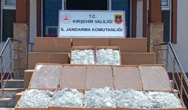 Kırşehir Kaman'da Dev Kaçak Makaron Operasyonu