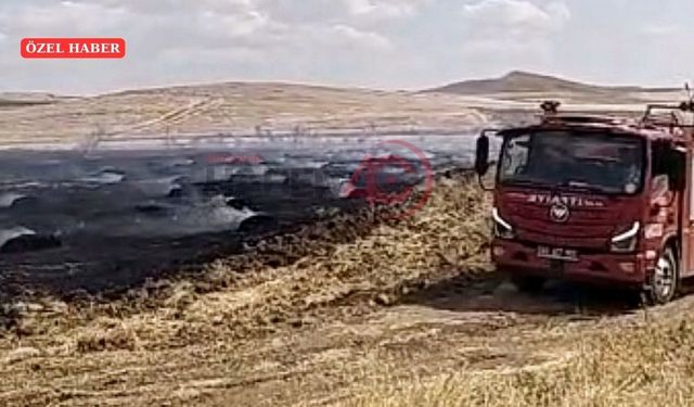 Kelismailuşağı Köyü'nde Yangın Paniği