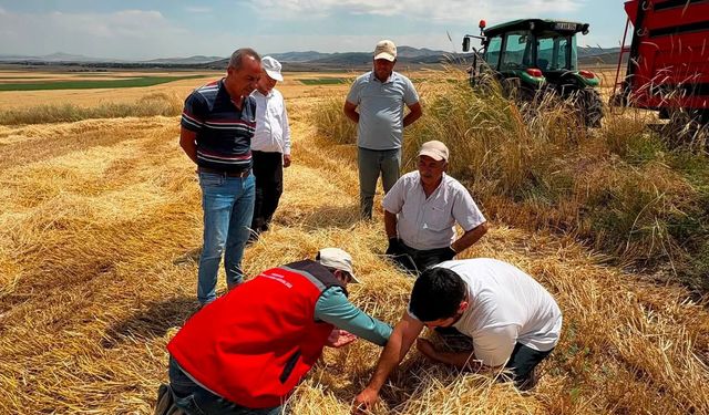 Ürün Kayıplarını Önlemek İçin Sahadalar