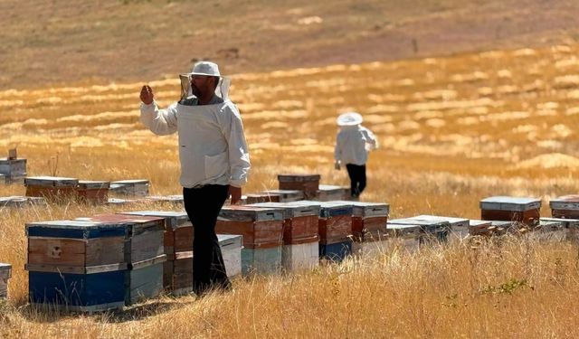 Kırşehir’de Hayvanlar Kontrolden Geçirildi