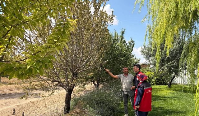Kırşehir’de Tarımsal Alanlarda Saha Çalışmaları Sürüyor