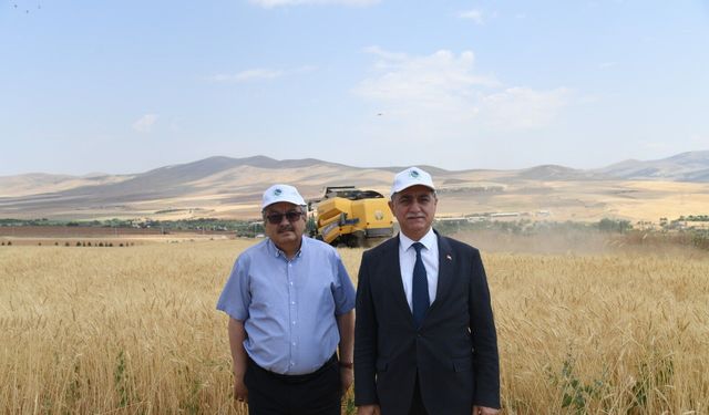 KAEÜ'nün Deneme Tarlasında Yüksek Verim