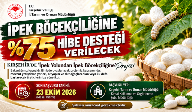Kırşehir’de ipek böceği üretimine destek geliyor