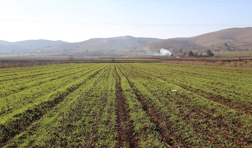 Kuraklık endişesi Kırşehirli çiftçileri korkutuyor