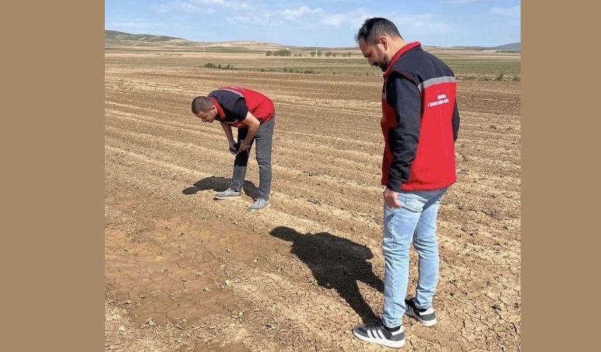 Selden zarar gören tarım arazileri yerinde inceleniyor