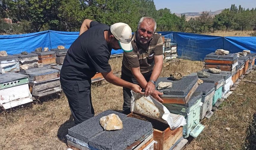 Kaman’da Tarım ve Gıda Denetimleri Aralıksız Sürüyor