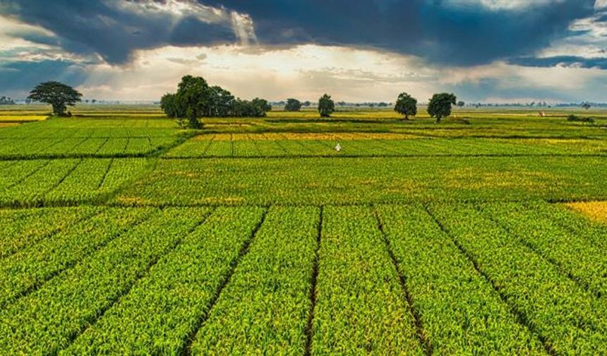 Kırşehirli Çiftçilere de Can Suyu Olacak