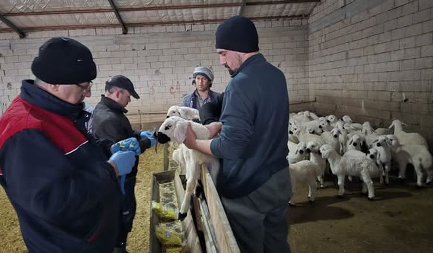 Kırşehir’de Tarım ve Hayvancılık Takipte