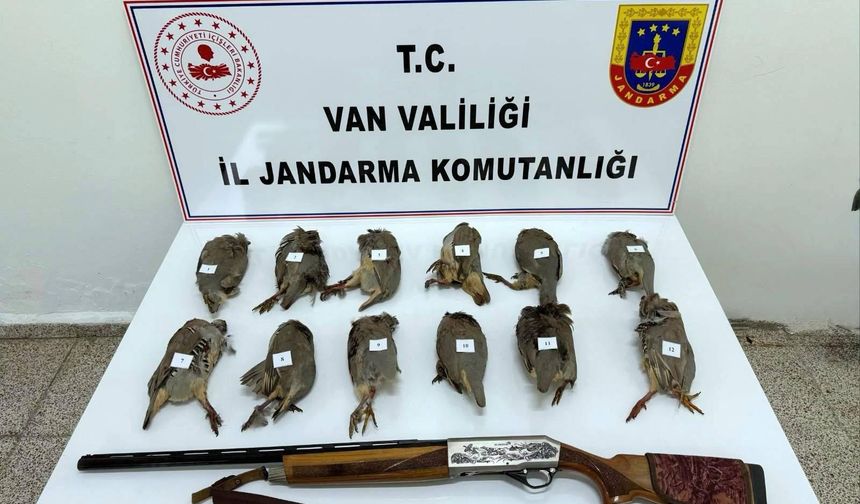 Van'da keklik avlayan kişiye 81 bin TL ceza
