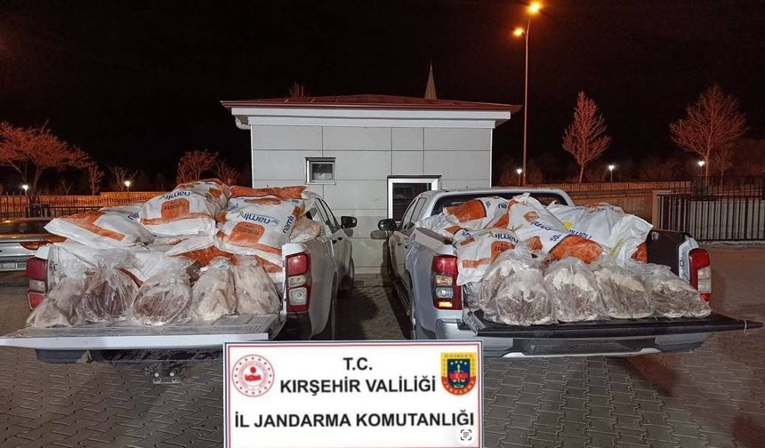 Kırşehir'de 1 ton 200 kilo kaz eti ele geçirildi