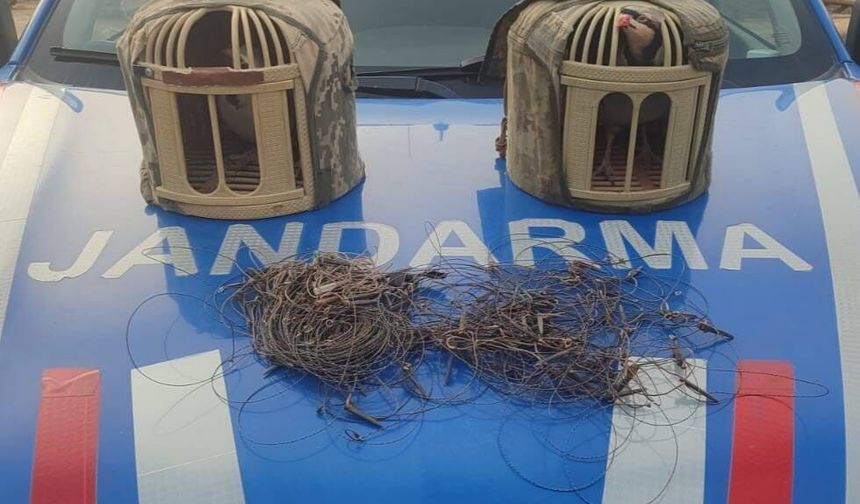 Kırşehir'de kaçak keklik avcıları yakalandı