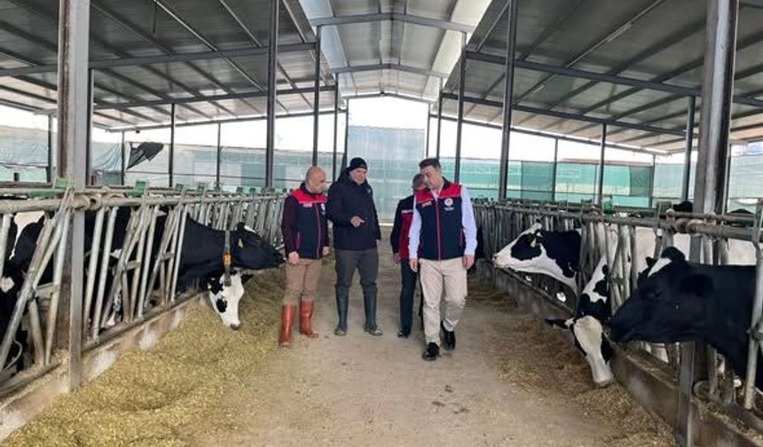 Deniz Azılı, Kırşehir’de Kırsal Kalkınma Desteğiyle Üretimini Büyüttü