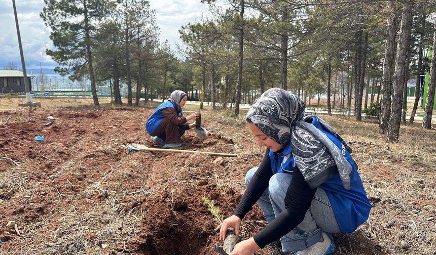 Kırşehir’de Gençlerden Doğaya Nefes