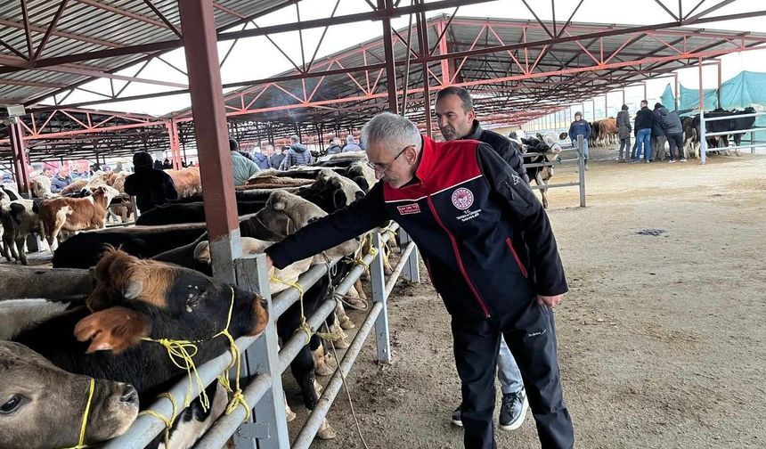 Tarım İl Müdürü Üreticilerle Sahada Buluştu