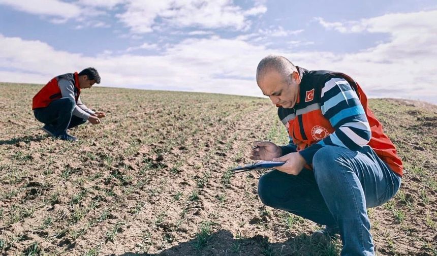 Kırşehir’de Fenolojik Gözlem Çalışmaları Sürüyor